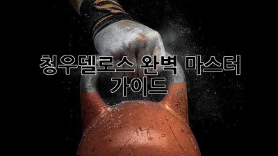 청우델로스 완벽 마스터 가이드