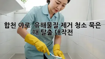 합천 야로 🏡 유해물질 제거 청소, 묵은 때 탈출 대작전! ✨