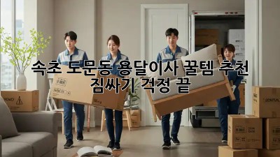 속초 도문동 용달이사 꿀템 추천!📦 짐싸기 걱정 끝!✨