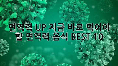 면역력 UP! 지금 바로 먹어야 할 면역력 음식 BEST 10